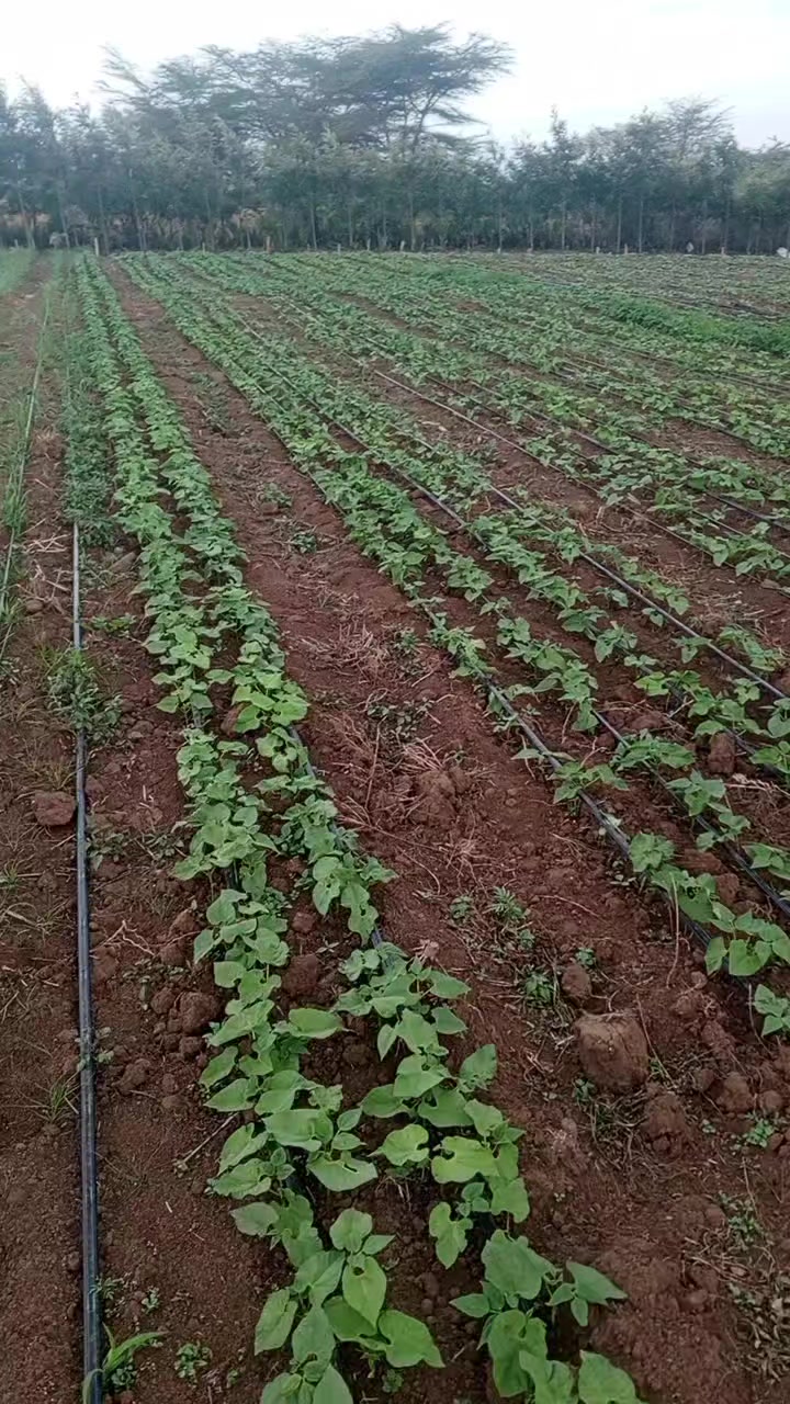 @JEFF TRICKS FARM