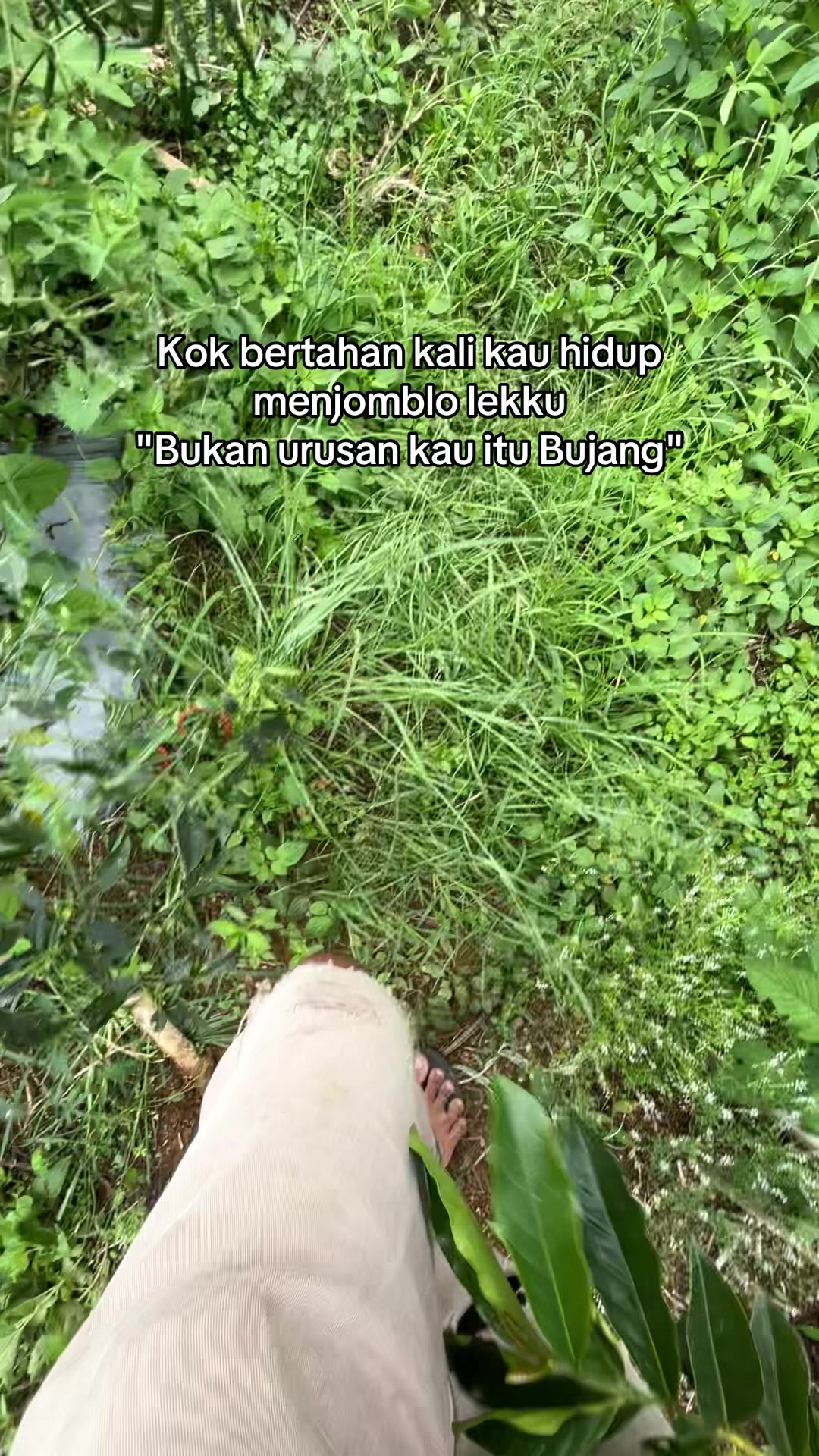 @๐ฉ๐๐๐ ๐๐น๐ญ