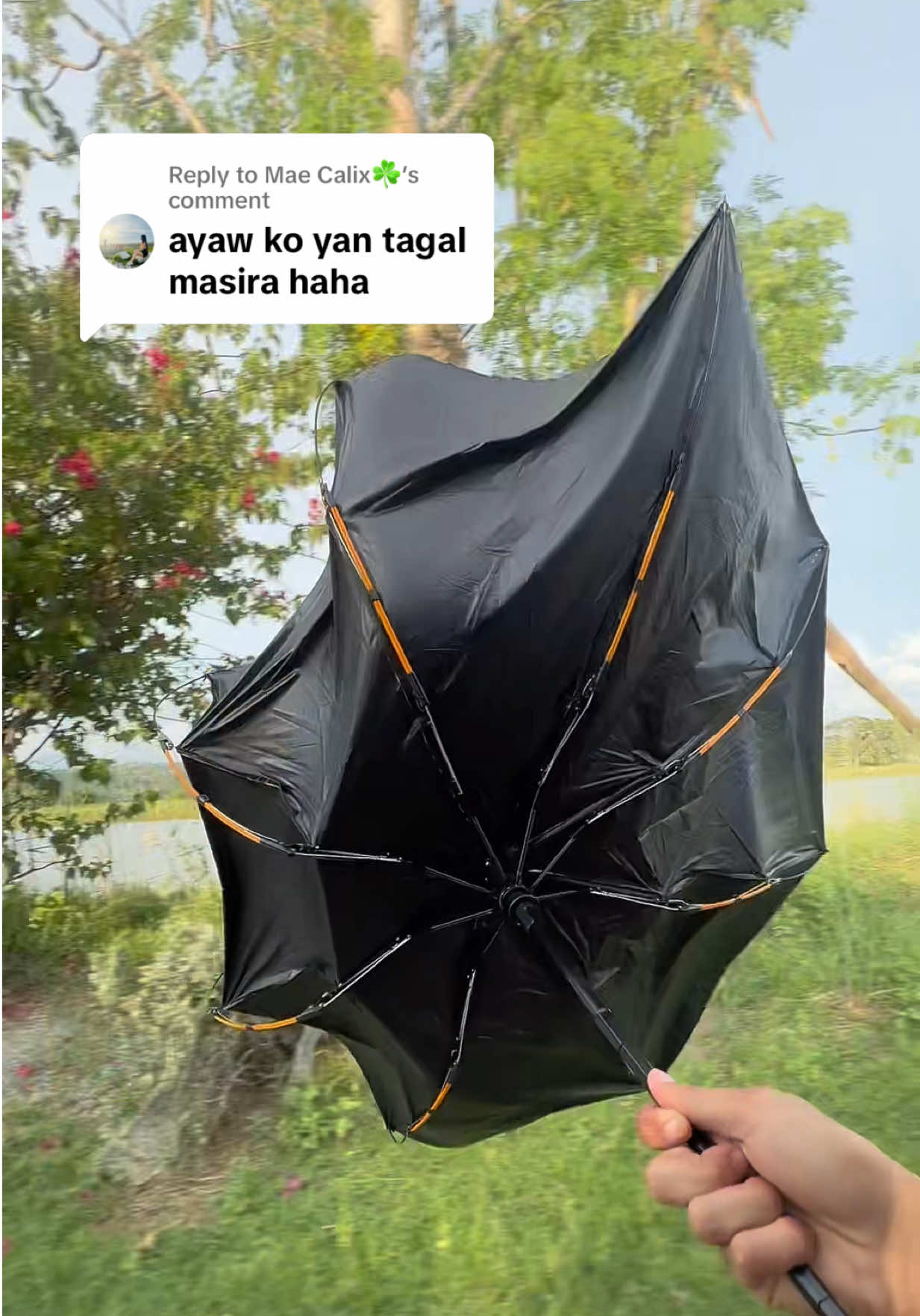 @๐๐๐๐๐๐๐ โงห°๐ท