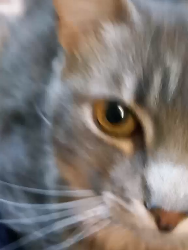 @♡ ♡
