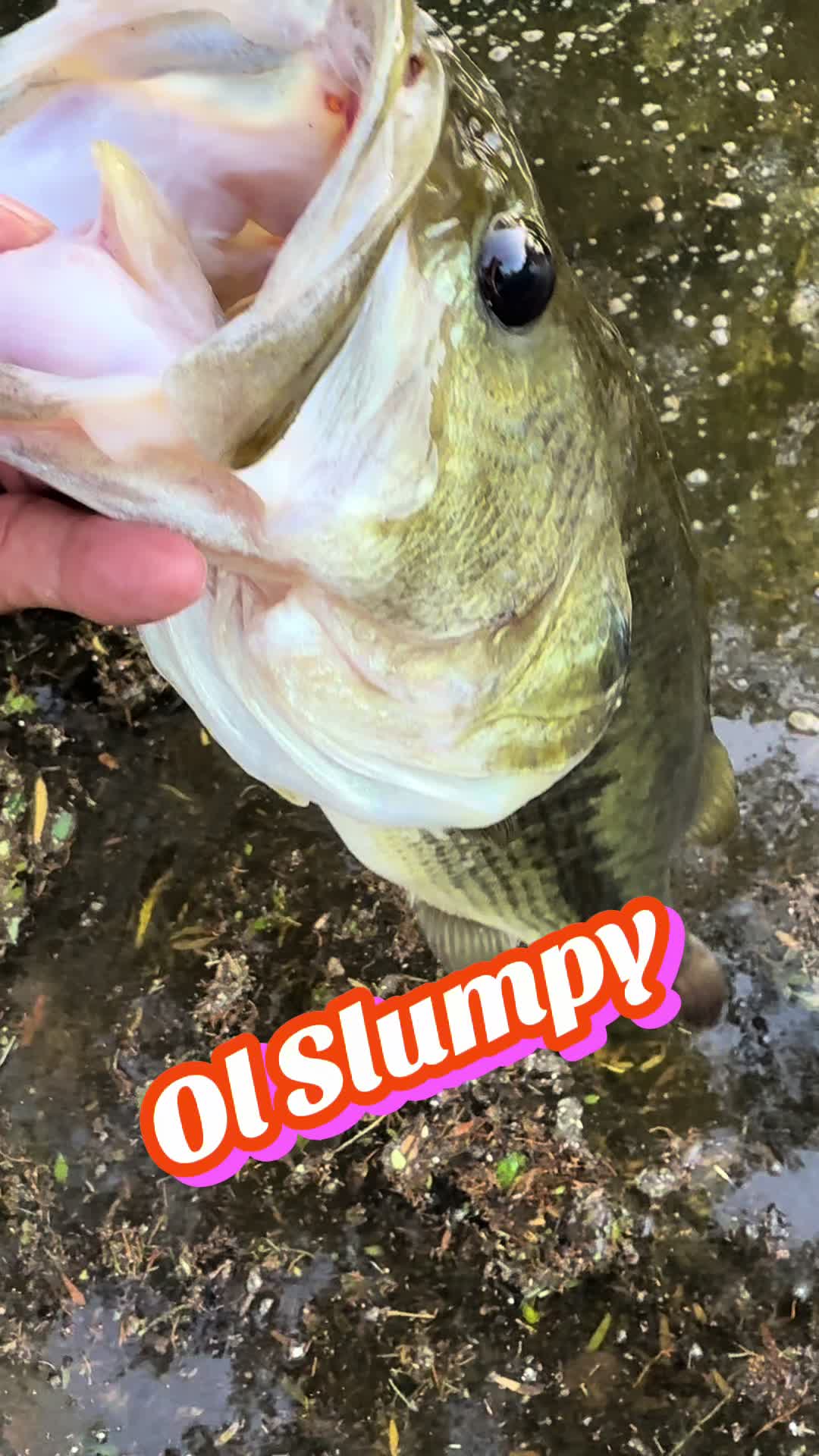 @g_money_50