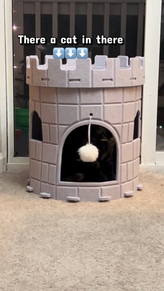 @Bella’s cats & hedgehog deals