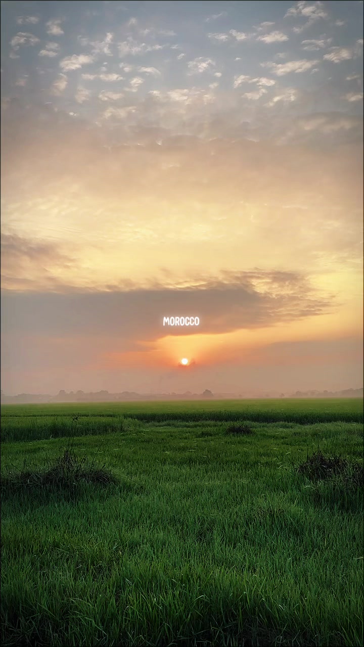 @ʀᴀᴅɪᴏ ♪ ♪