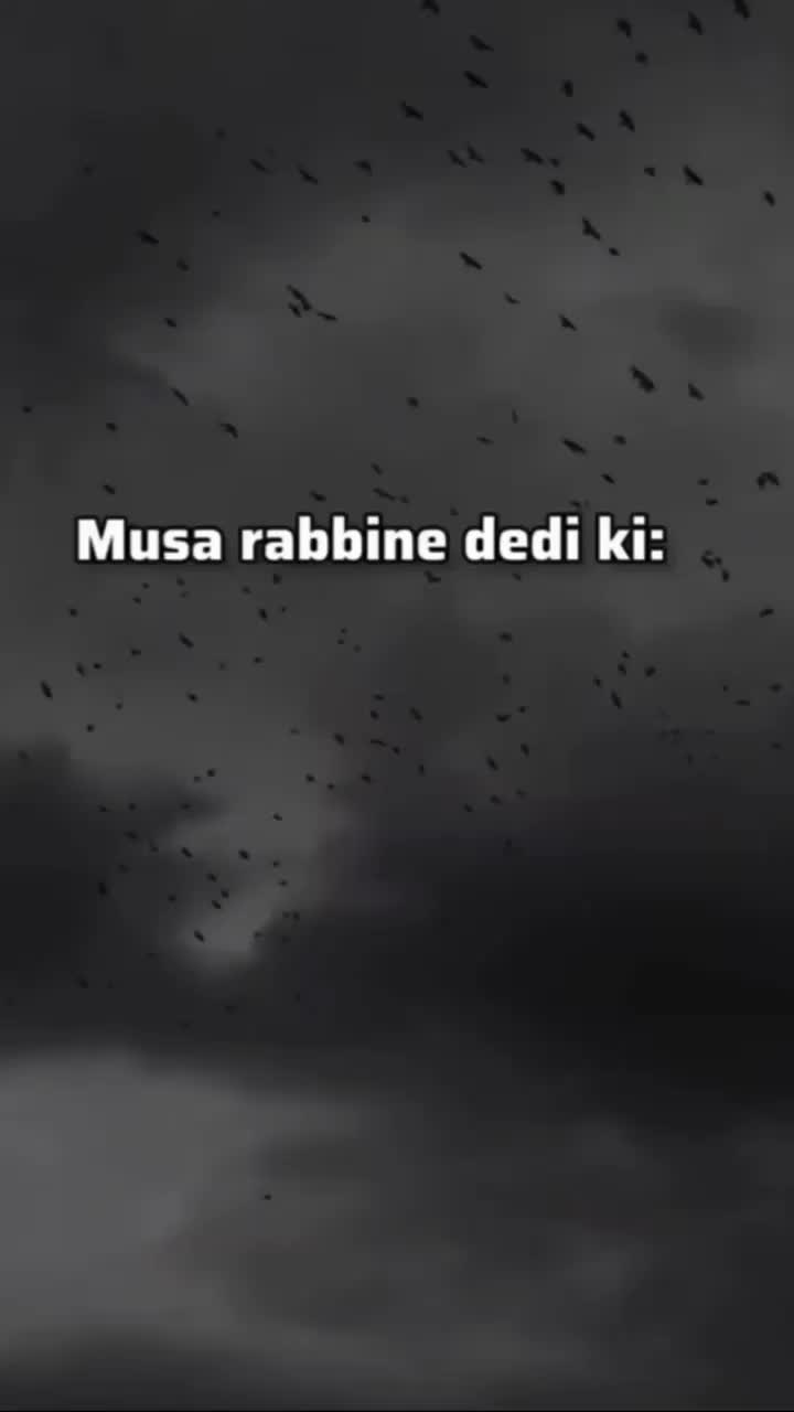 @EL_VEKİL☝🏻