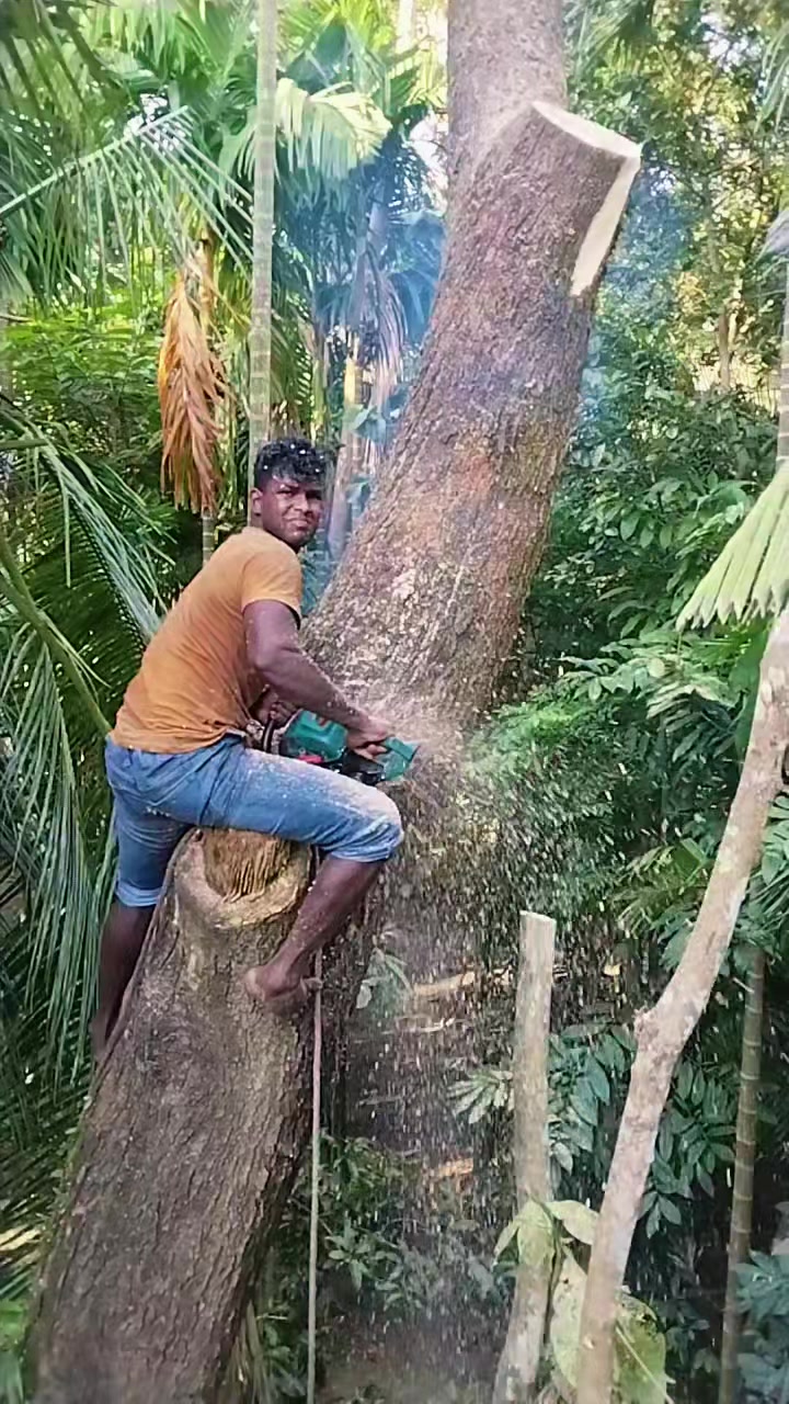 @যশোরের পোলা