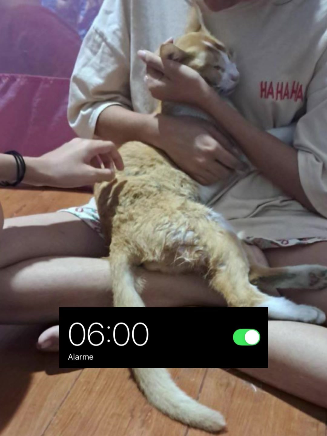 @𝐻𝑒lly