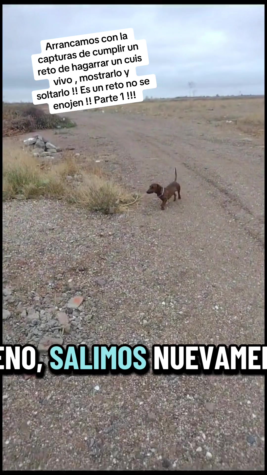 @El flaco