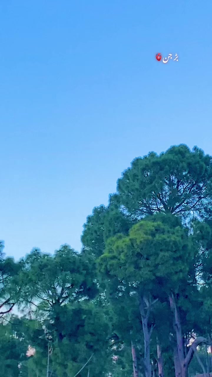 @🇬🇧عشاء