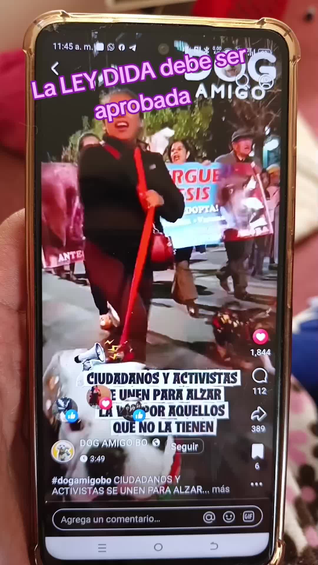 @Do&ntilde;a Se&ntilde;ora D