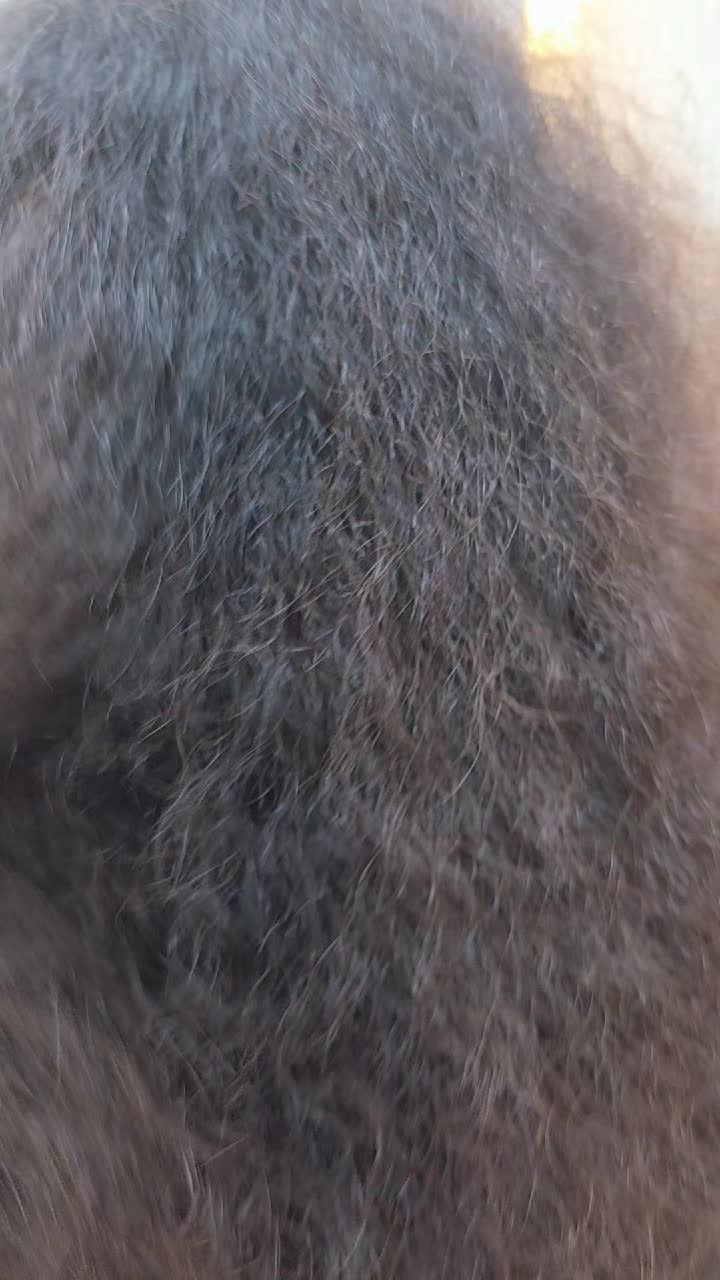 @Fatimaseha