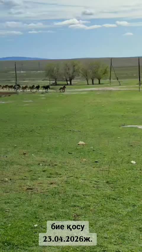 @ҒАЛЫМ ҚАЛАБАЕВ