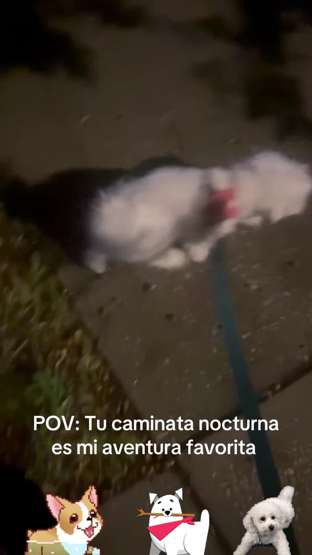 @los3huevertos