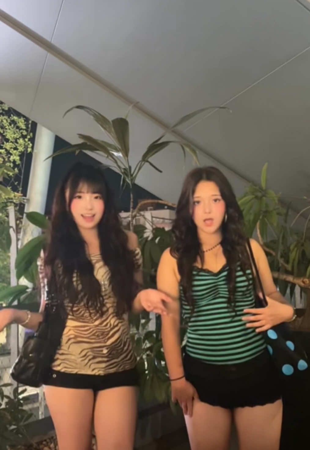 @Ayana(17)