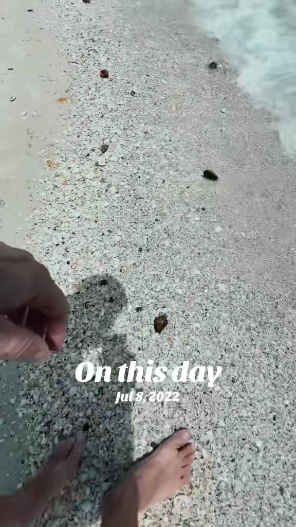 @Southwest Florida Shelling