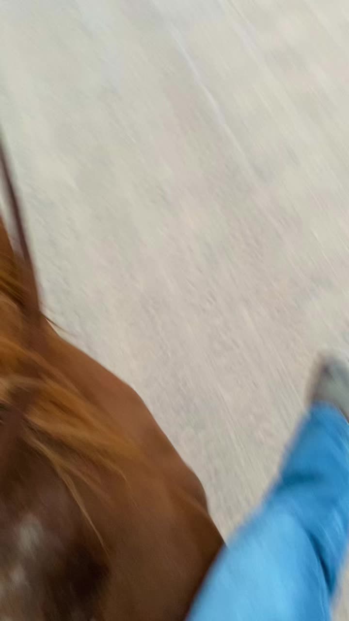 @fanny