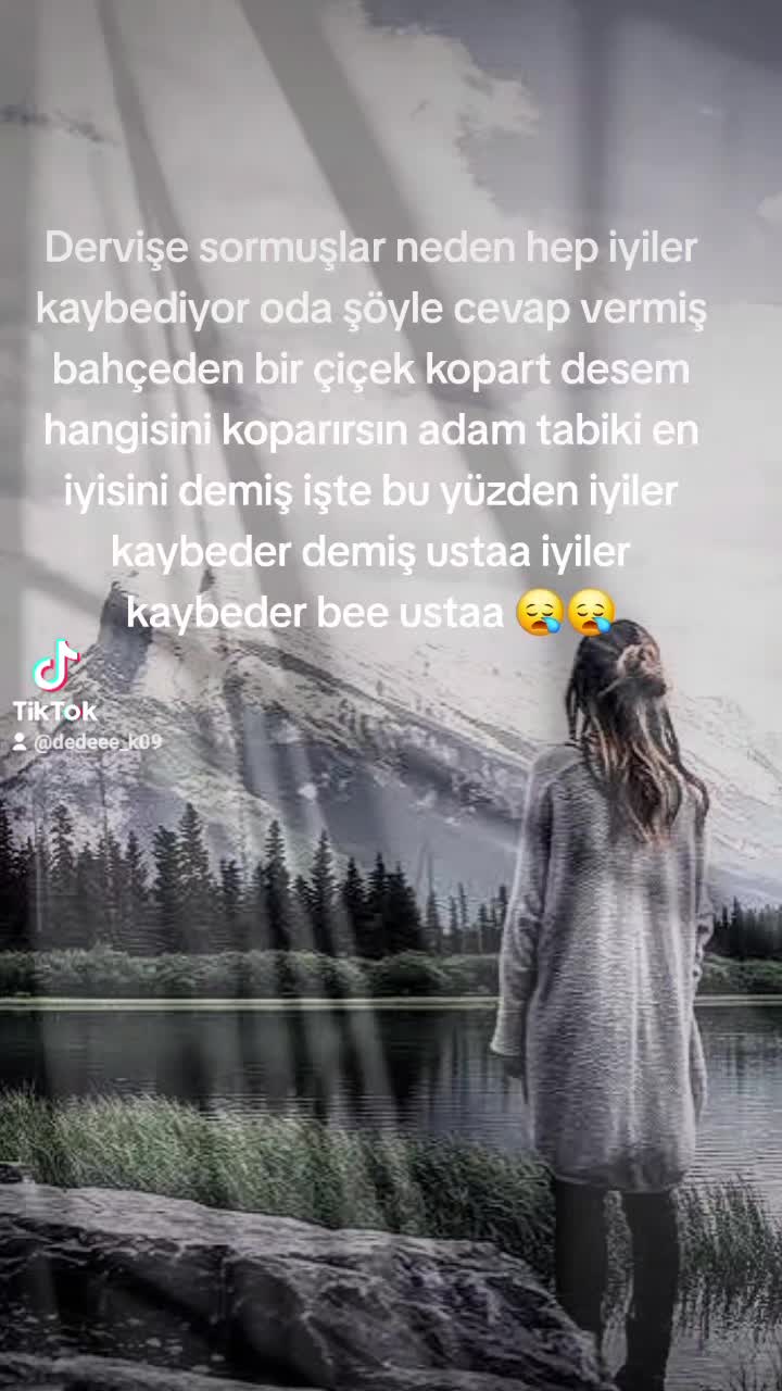 @⚜️wolf usta ⚜️