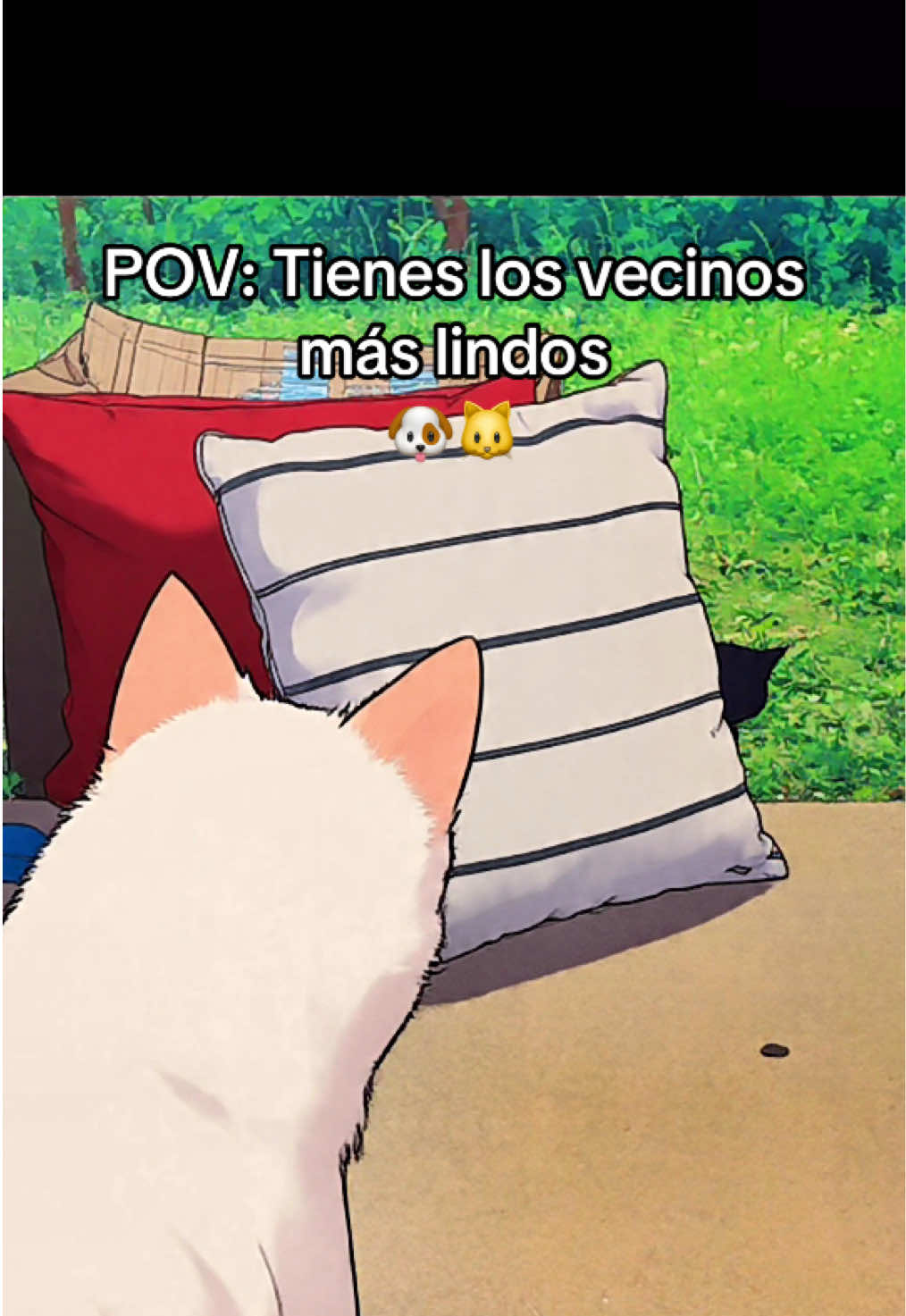 @Flavia La Luna Latina