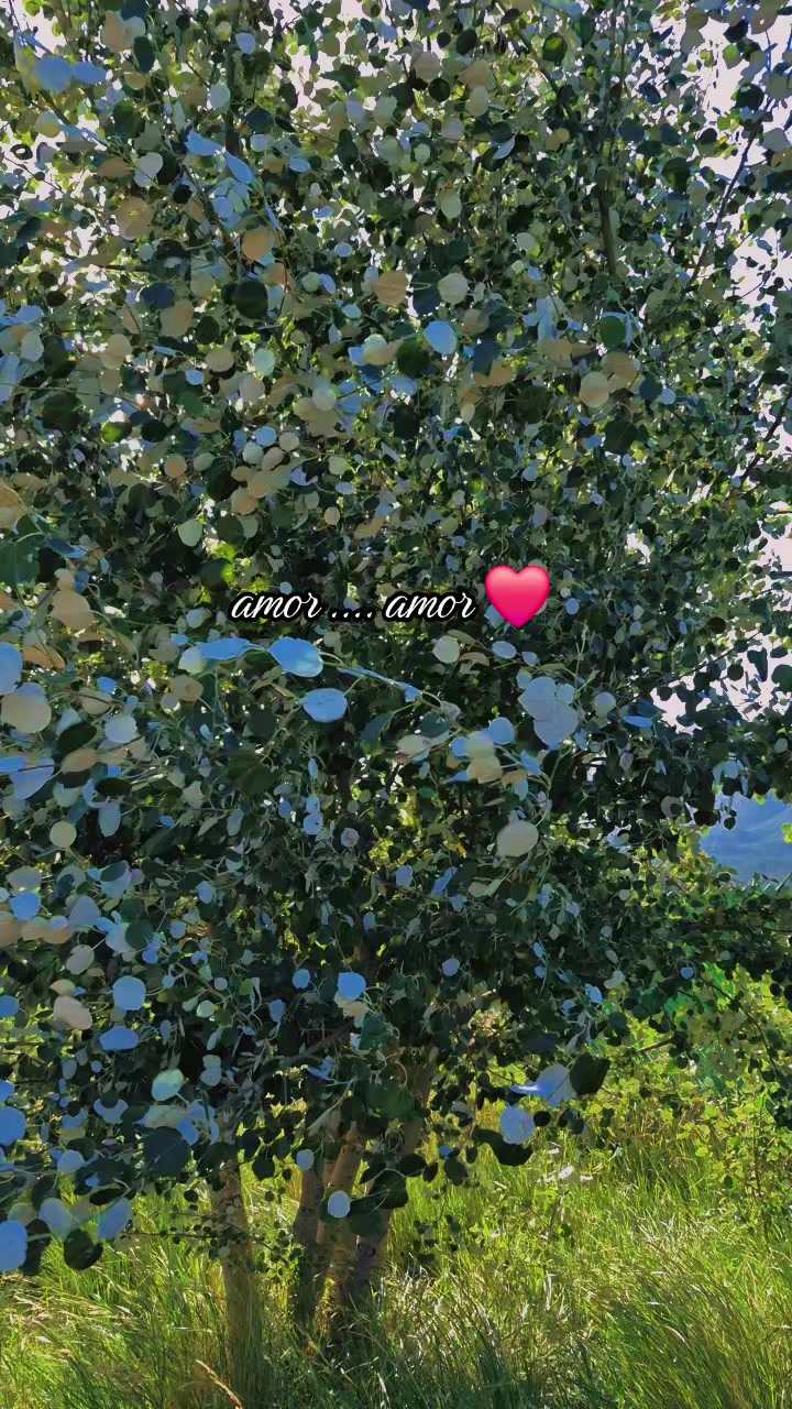 @𝓲𝓲𝓲𝓵𝓾𝔂..🦋