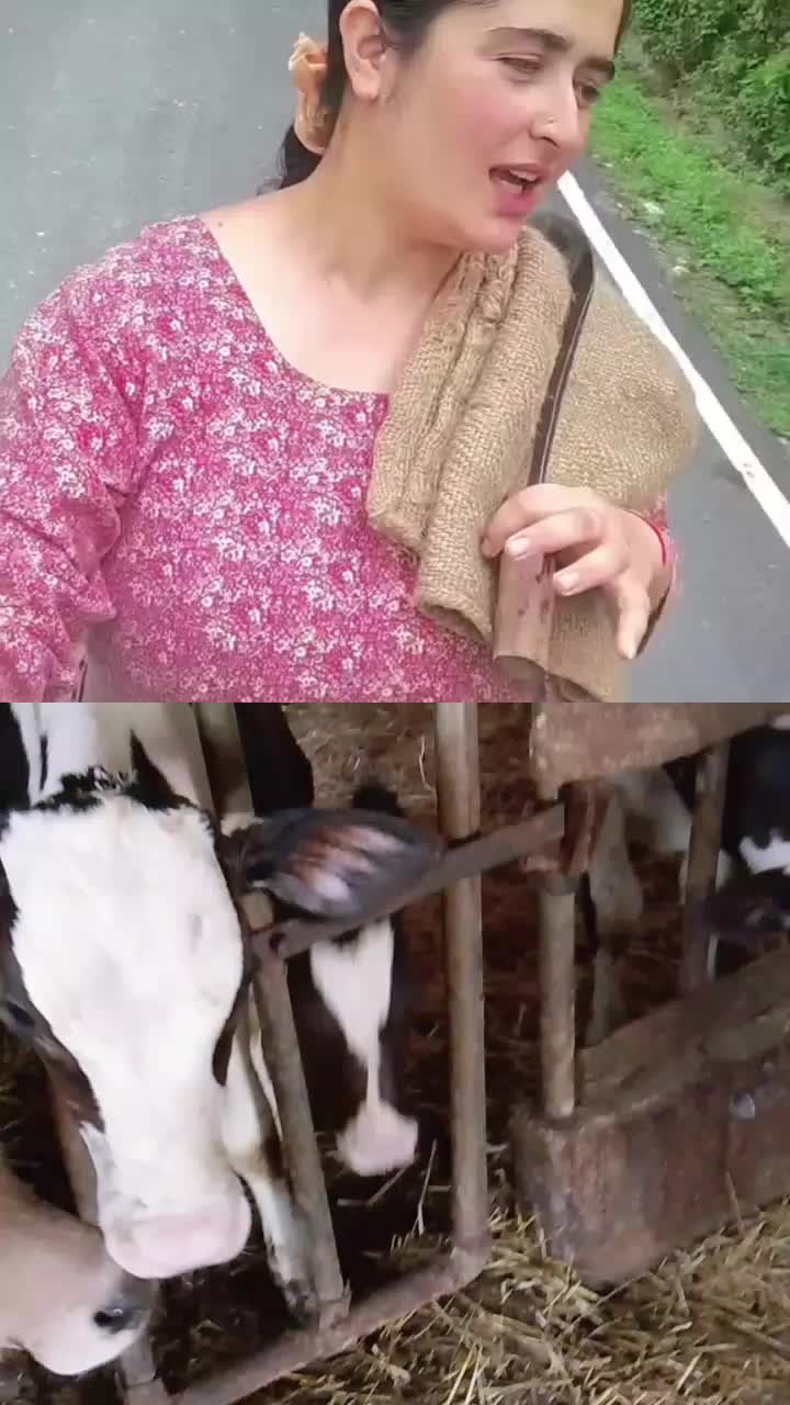 @ਭੰਗੂ ਸਾਹਿਬ