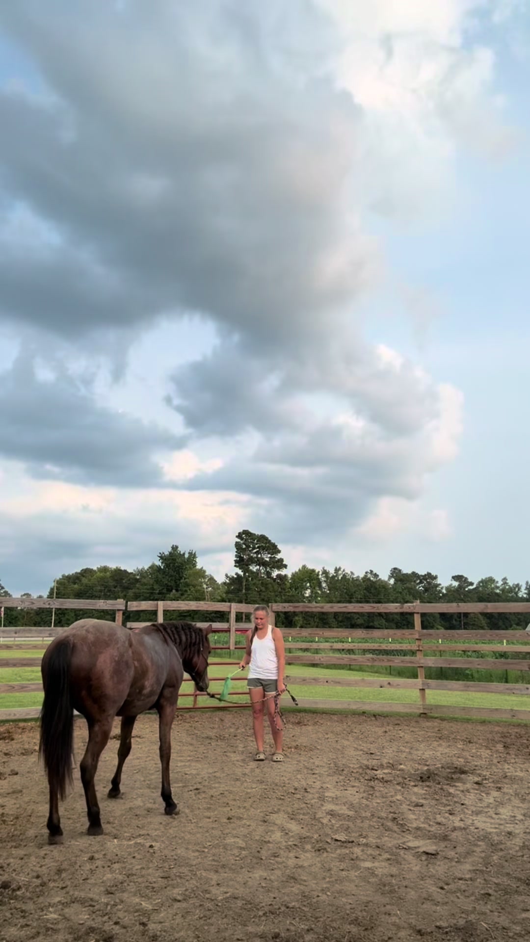 @Peppermint Pines Farm