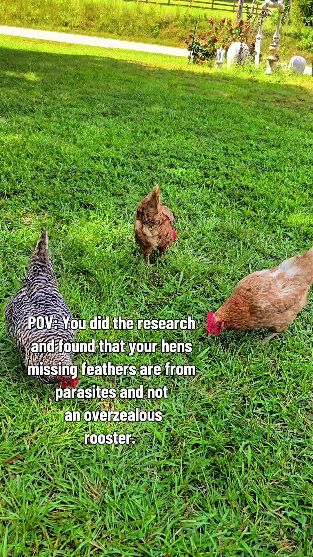 @Skeletonsonbeaverpond❌️🦆☠️