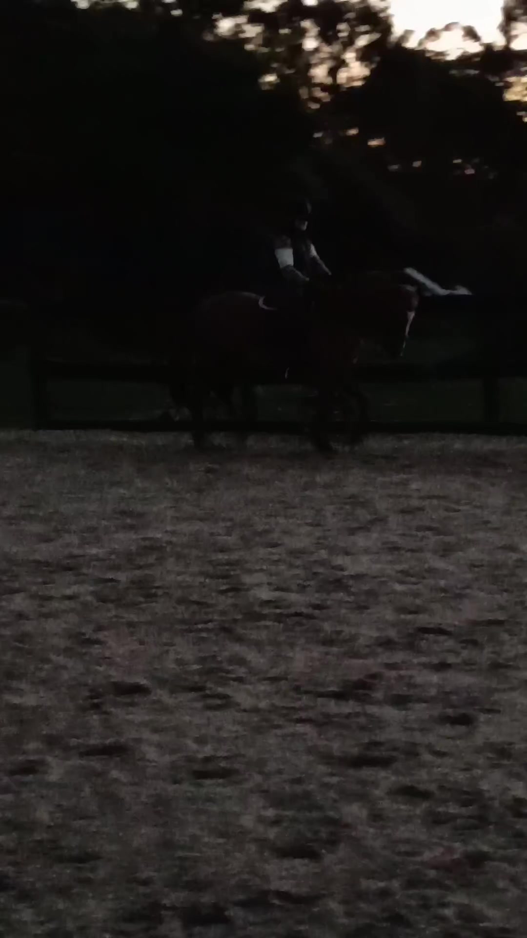 @Pip_equestruan9
