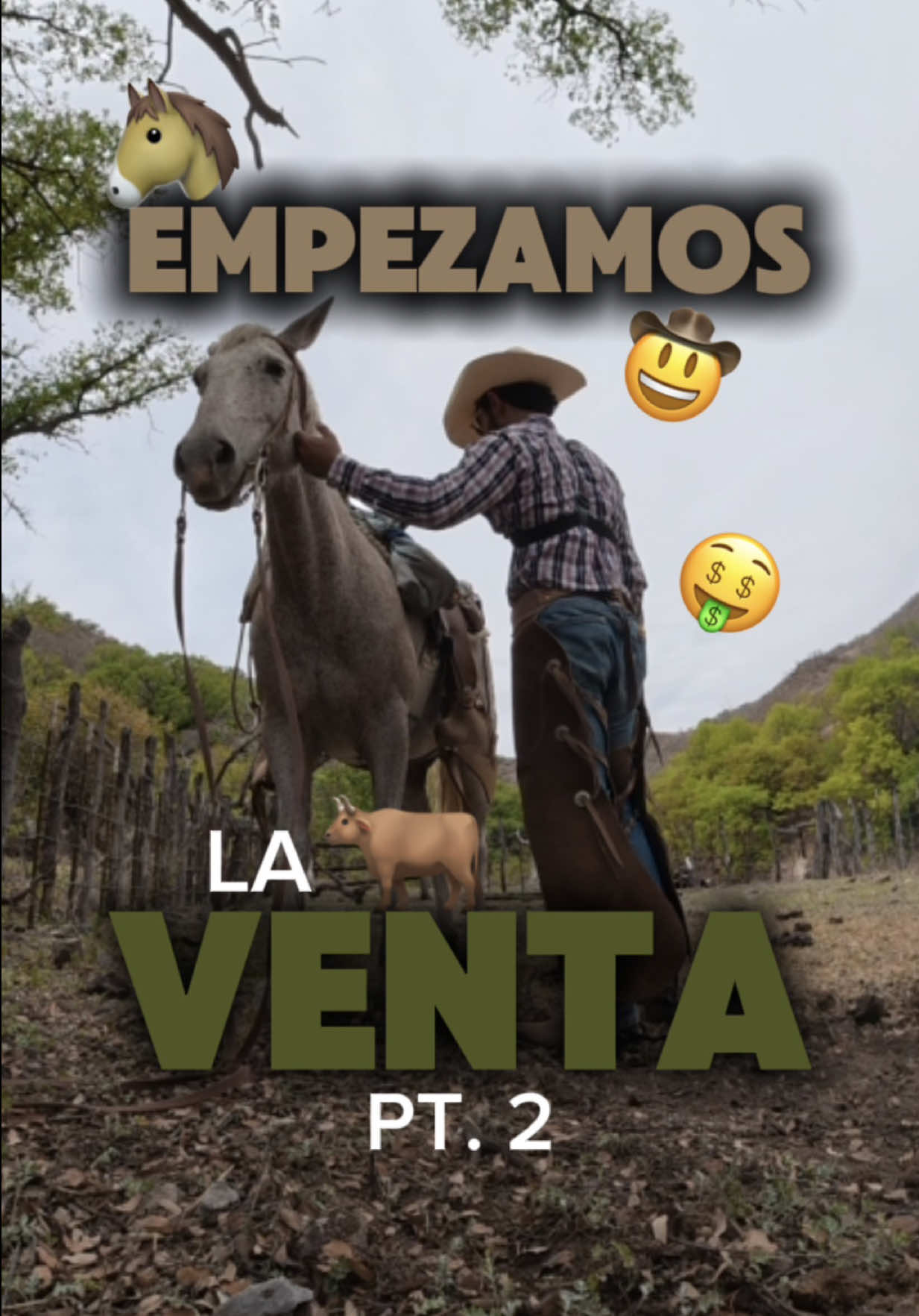 @Alejandro Molina