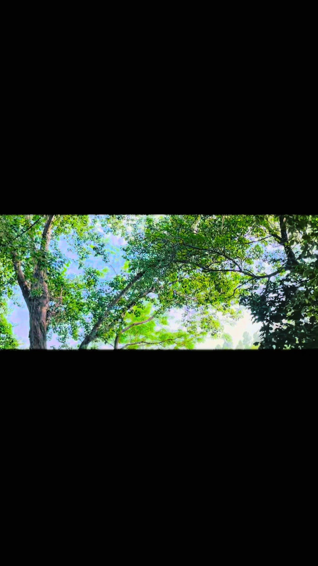 @ℱ𝒶𝓇𝓂𝒶𝓃 𝓀𝒽𝒶𝓃