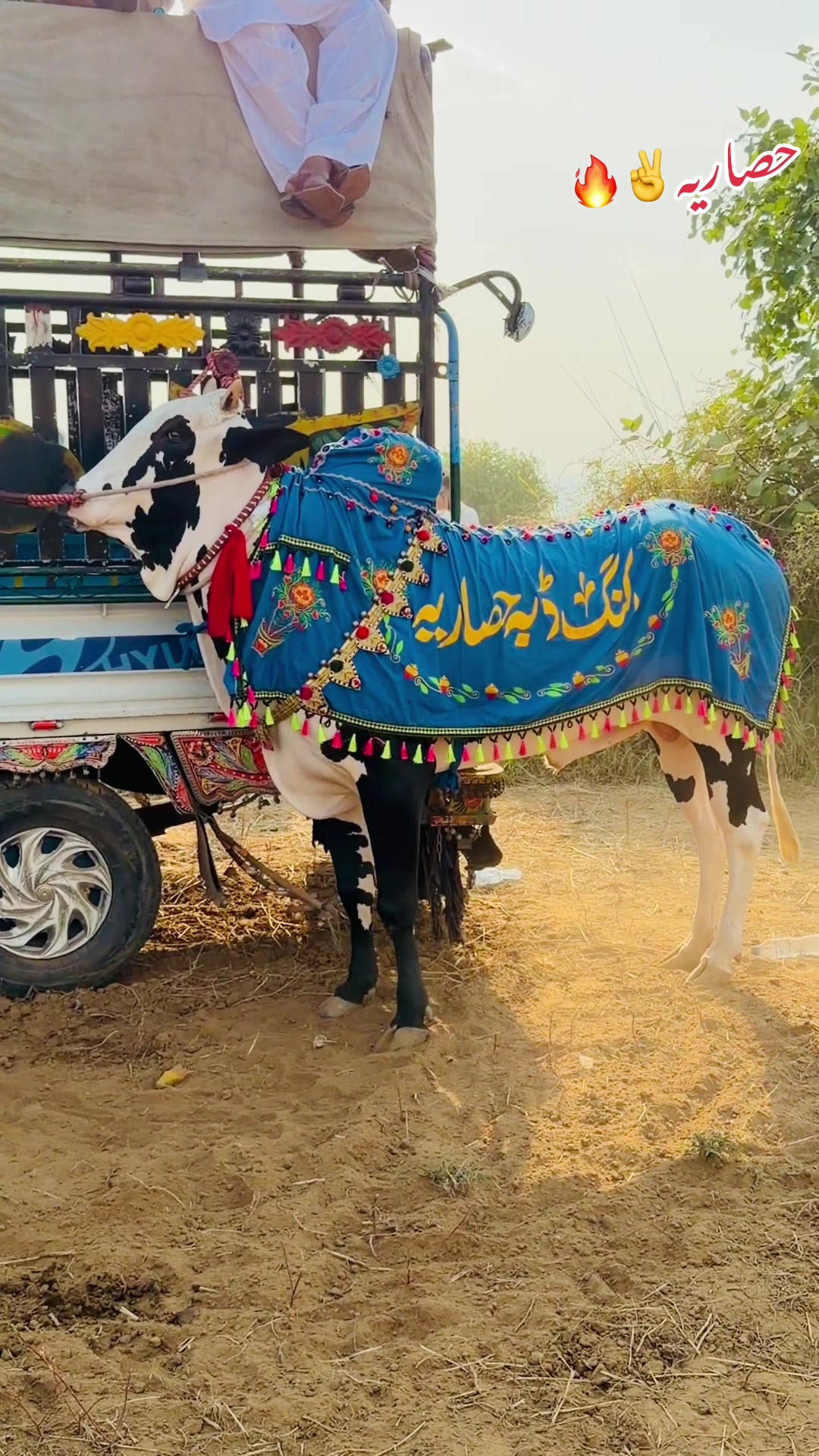 @راجہ عزیر حصار