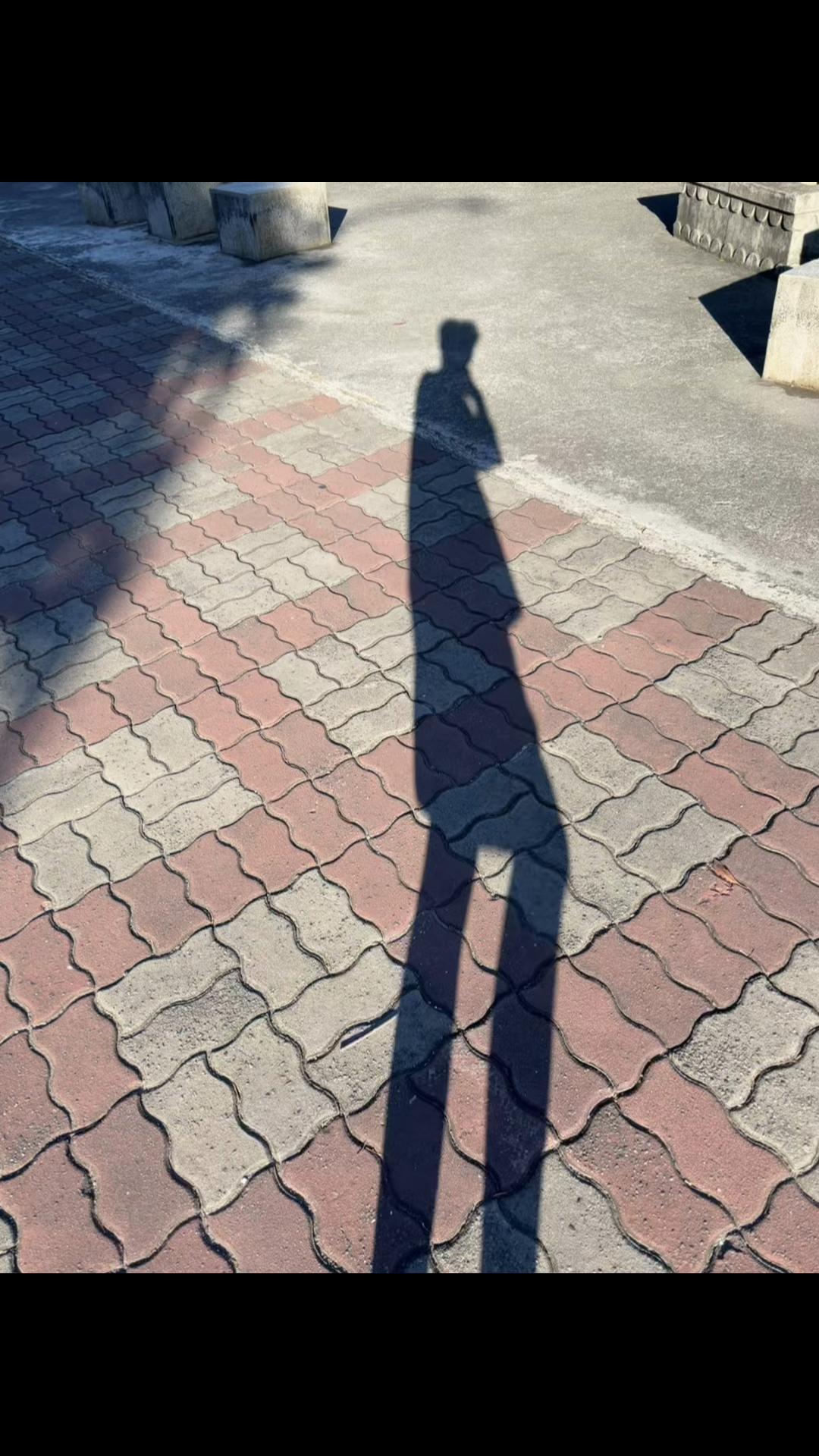 @川南.🫧🐰