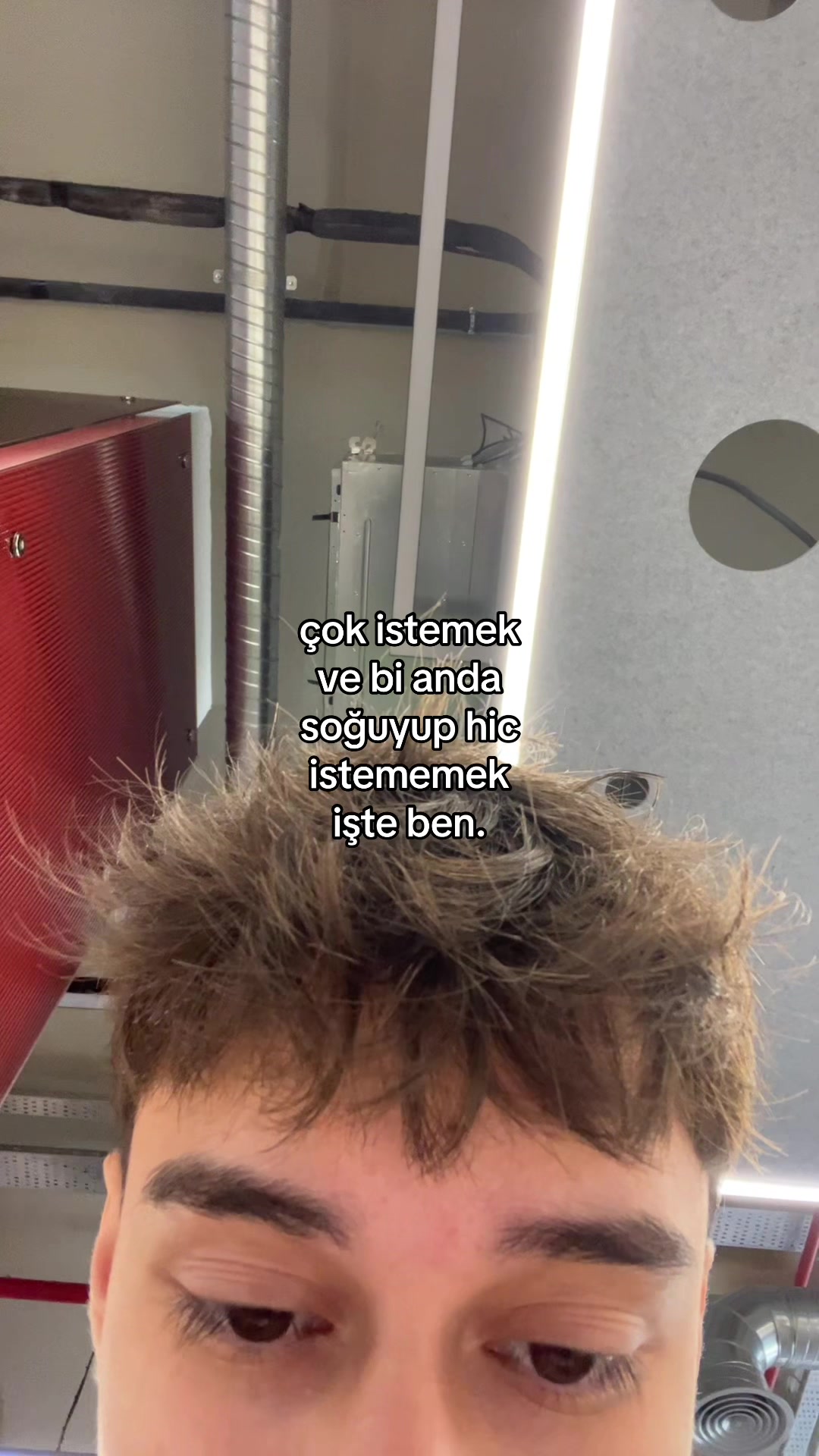 @mcqueeen56