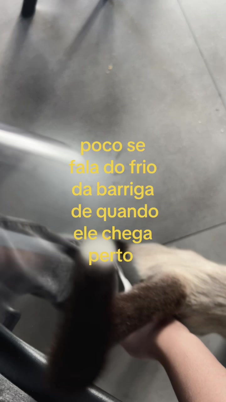 @Lara mel ࿓