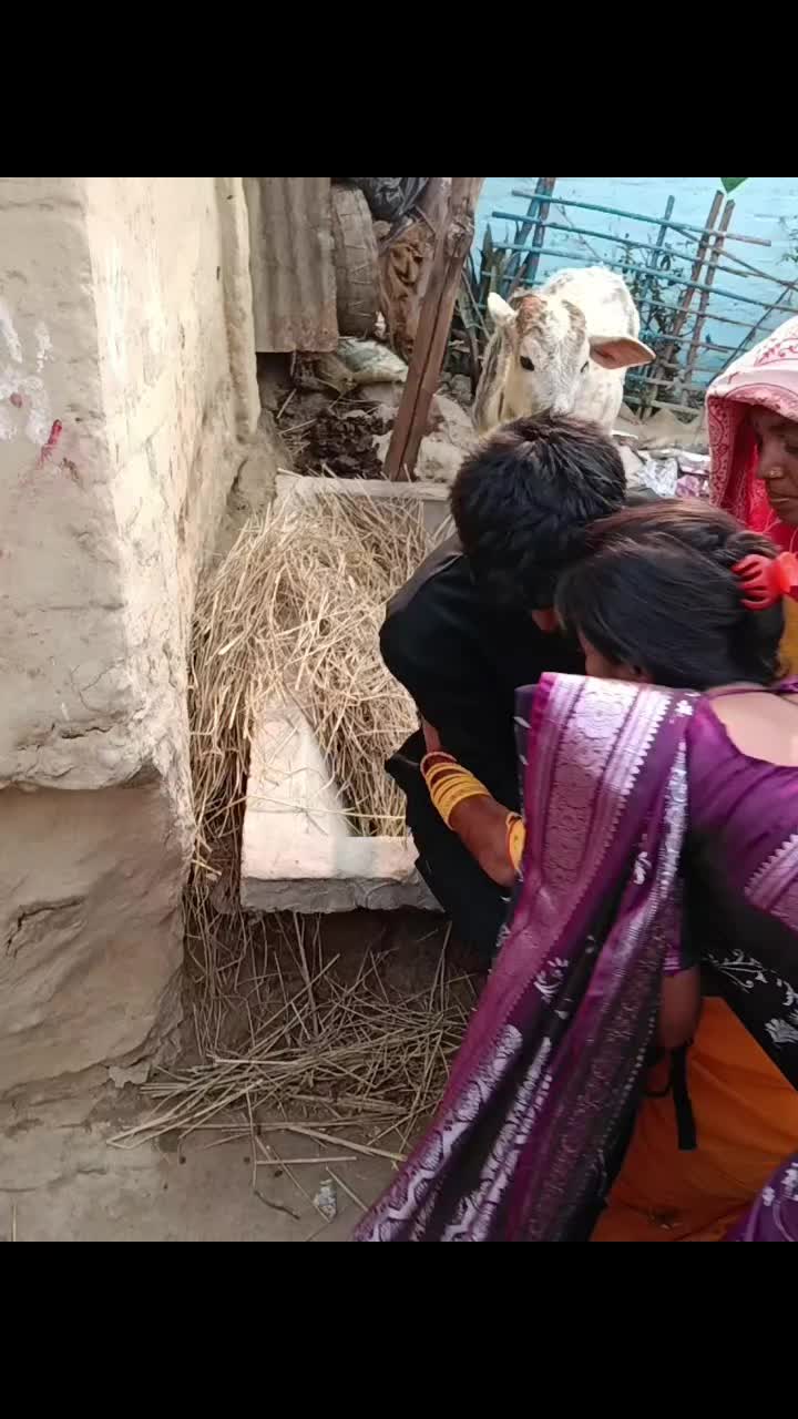 @chamar barand 123