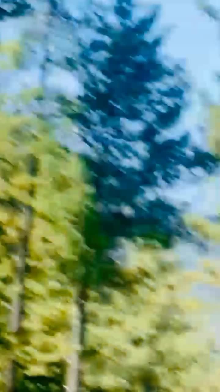 @❣🇦t̸i̸f̸ ❣