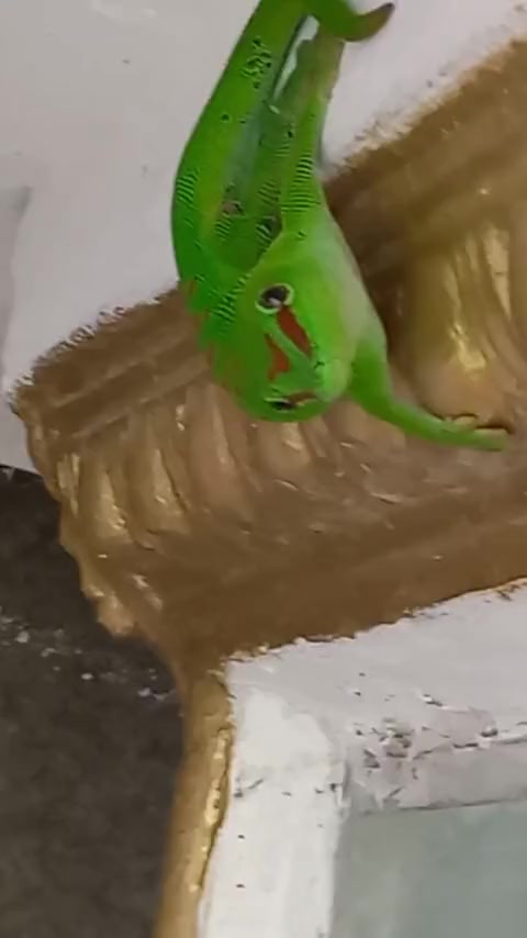 @ज्योति crafty