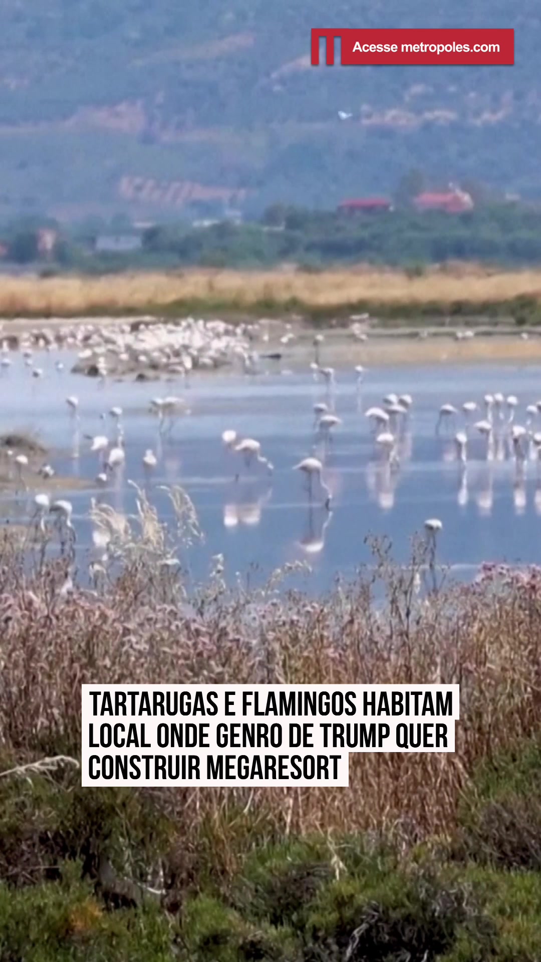 @Metr&oacute;poles Oficial