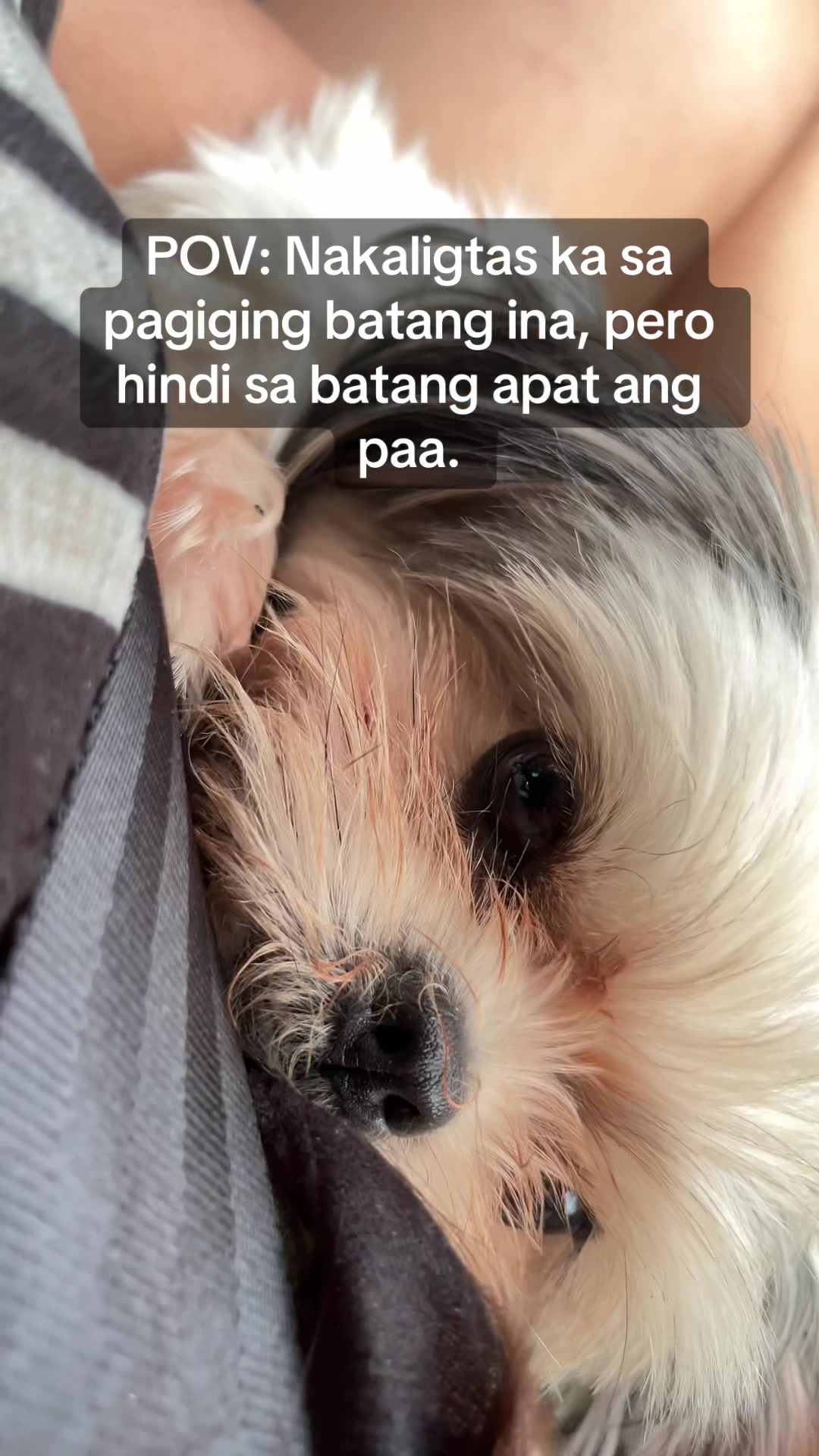 @CJM💋