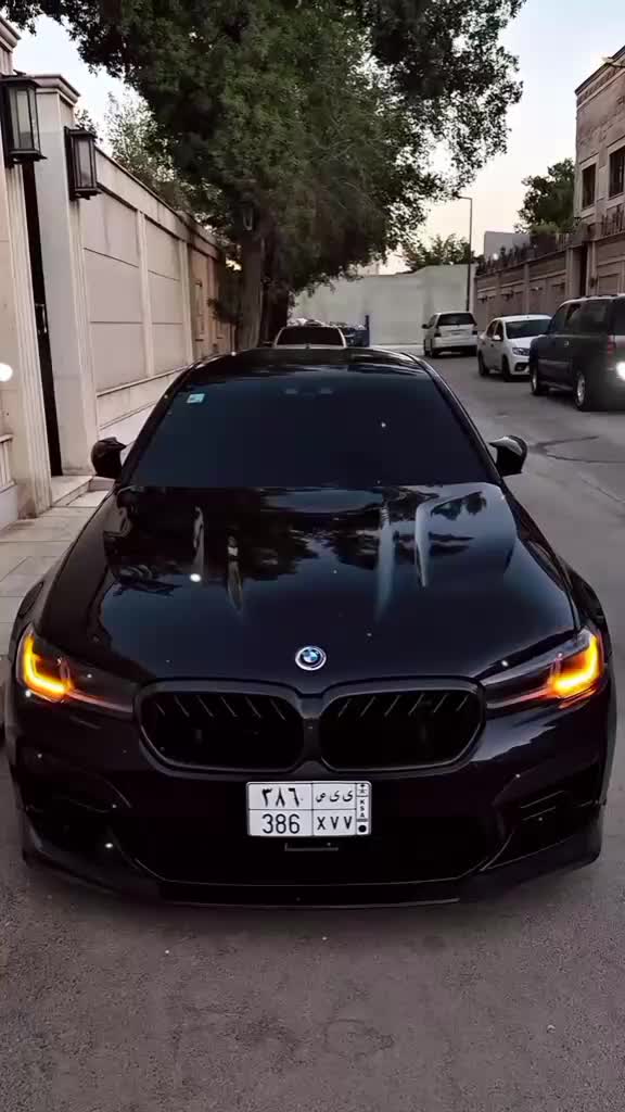 @José Luis
