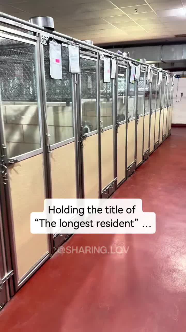 @mistermnn
