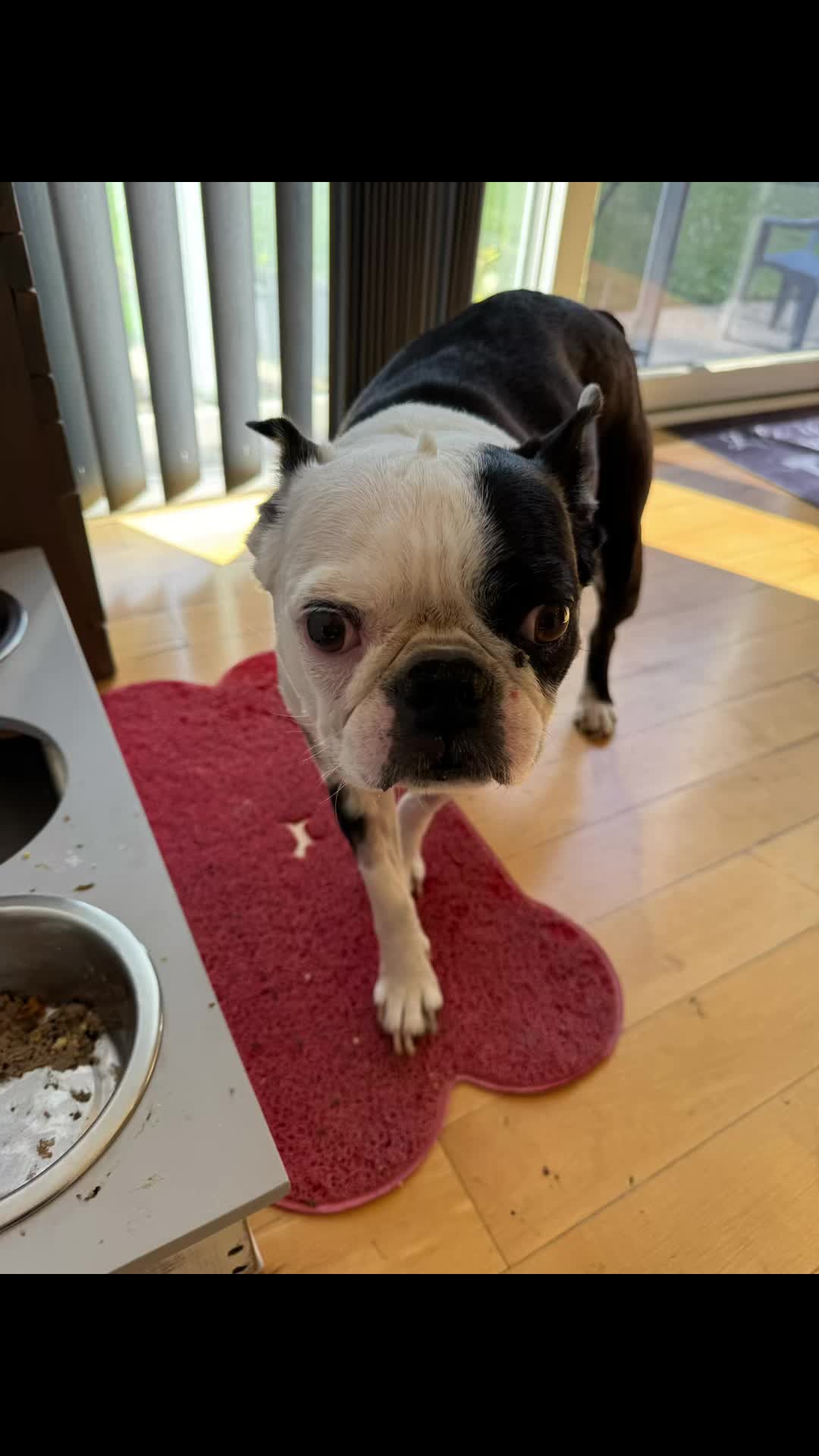 @That_Boston_Apollo