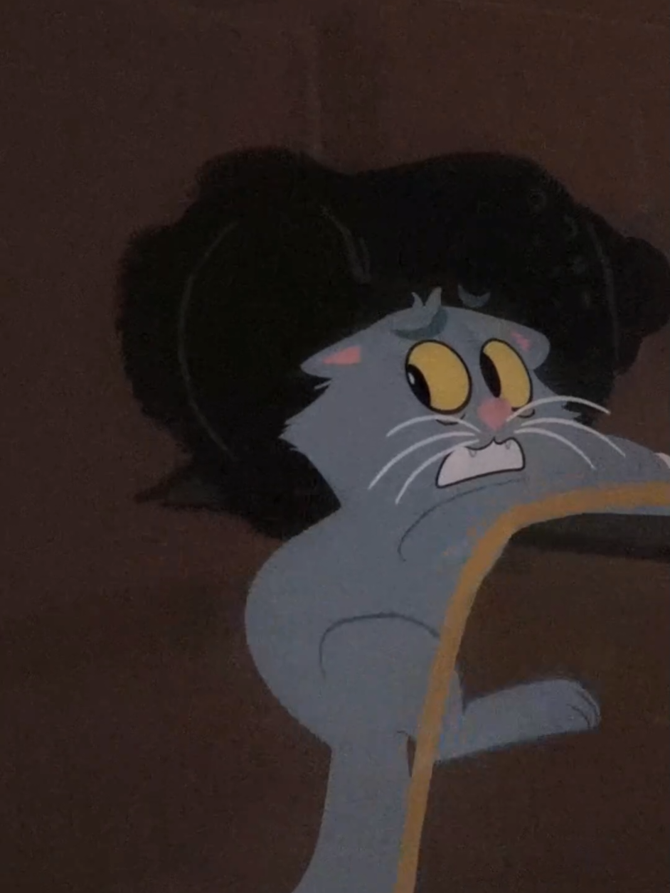 @Sydney the Song Cat