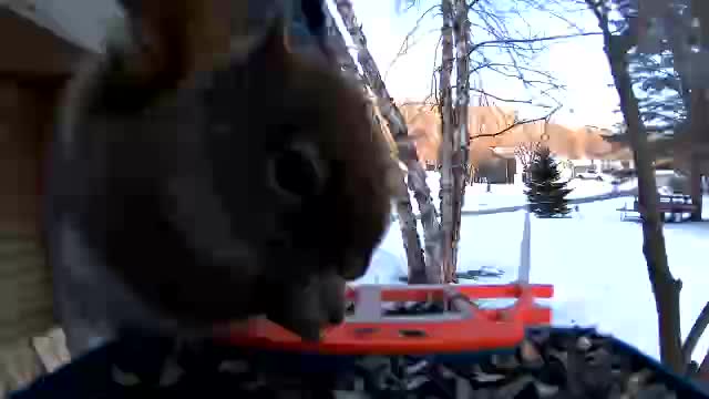 @Любопытно