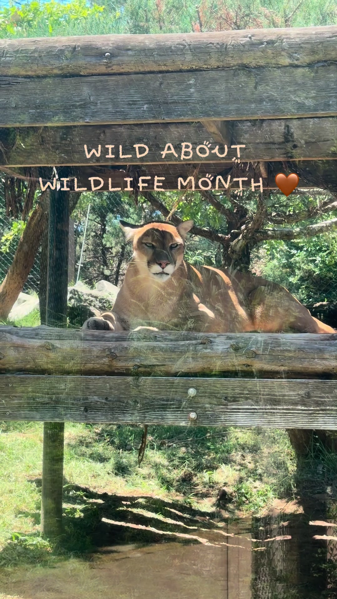 @okczoo