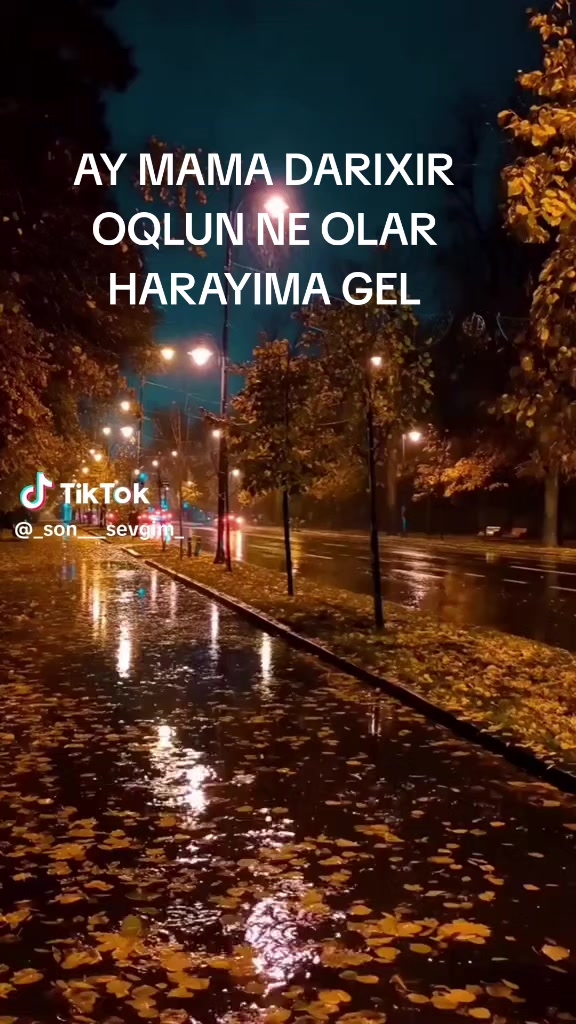 @Ramin Isgenderli