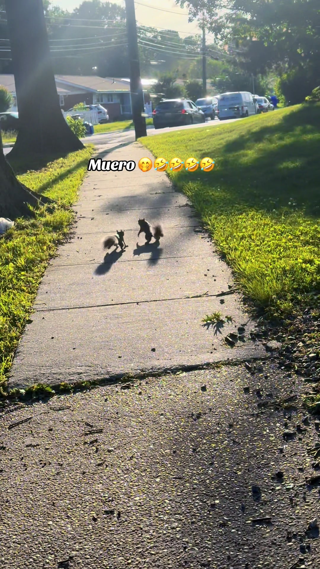 @🌞Sol López🌻🫦