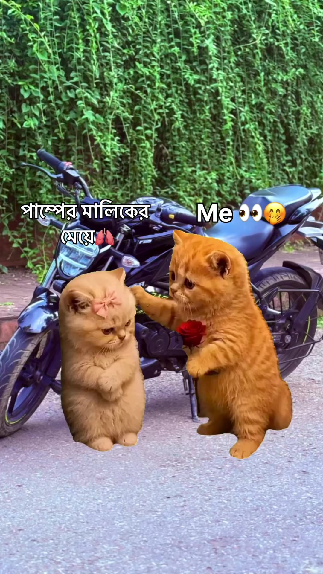 @..⛔️