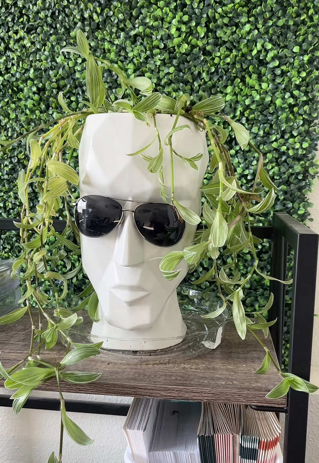 @🌱 Grow with Jo