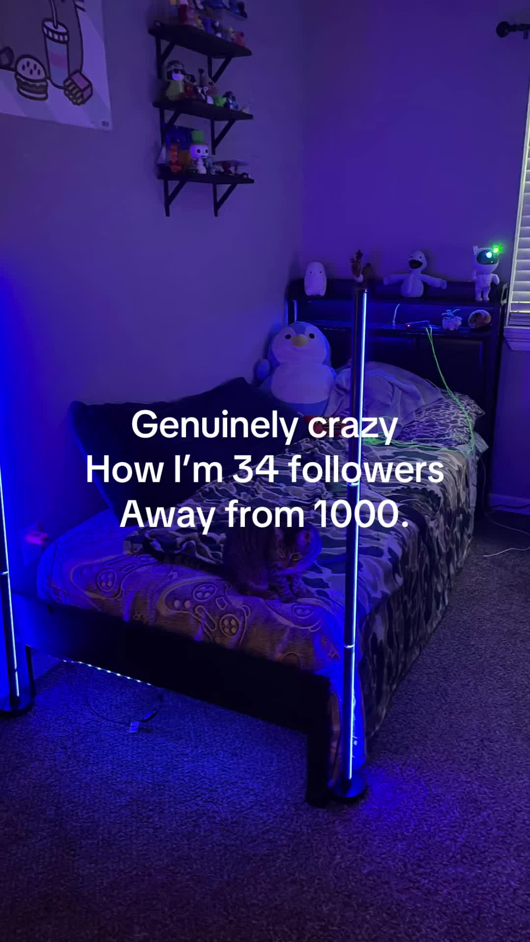 @Ryan🦭