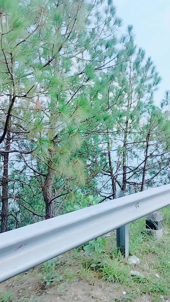 @sarunepalbhandari