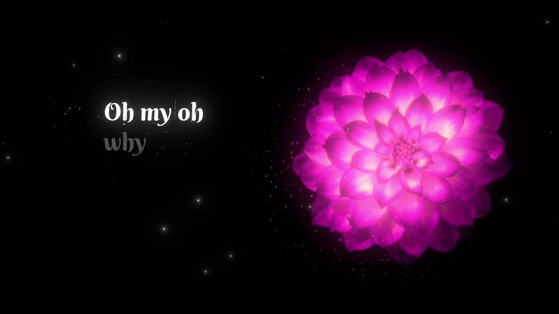 @speed songs | lyrics